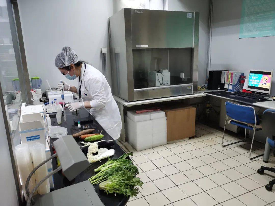 沙湾食品检测实验室装修方案